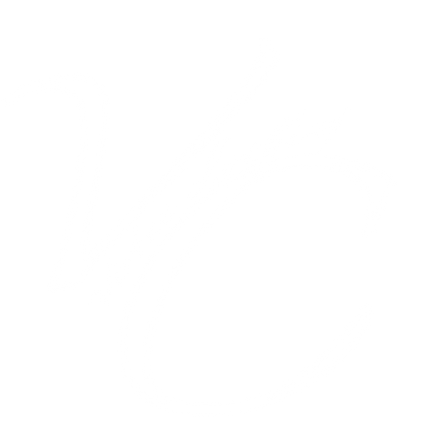 Virtue clothing